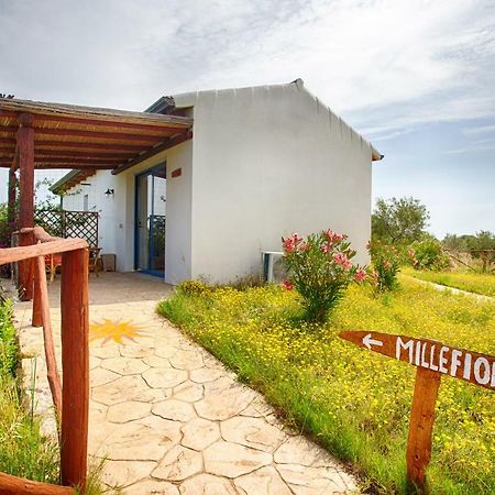 Agriturismo Mieleamaro Villa Olbia Exterior foto