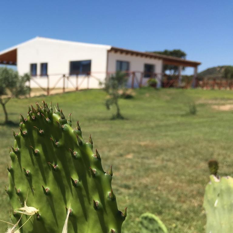 Agriturismo Mieleamaro Villa Olbia Exterior foto