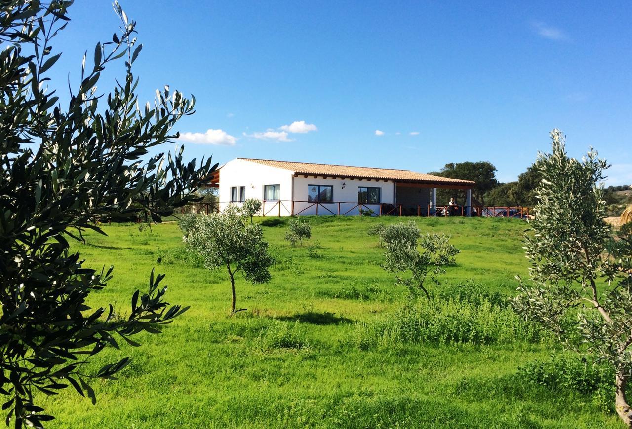 Agriturismo Mieleamaro Villa Olbia Exterior foto