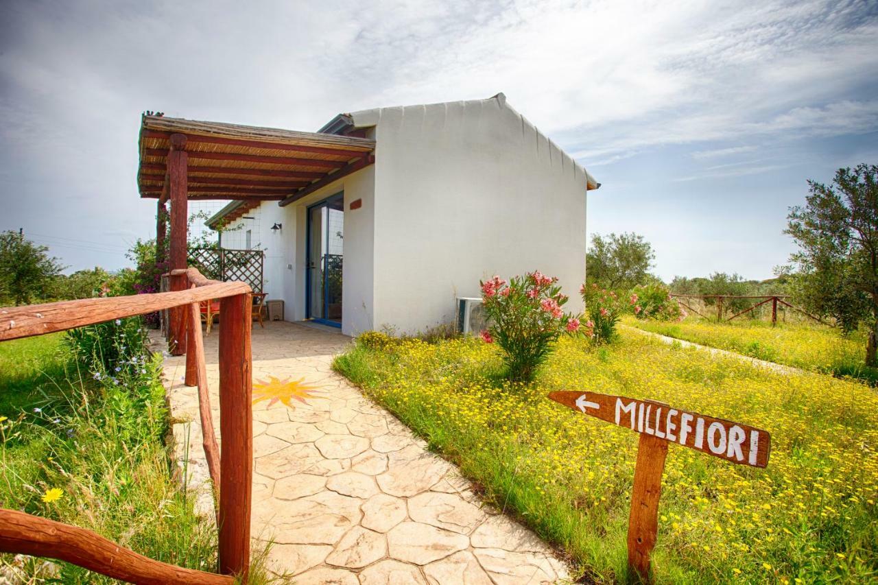 Agriturismo Mieleamaro Villa Olbia Exterior foto